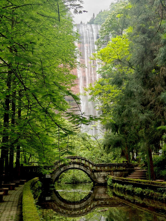 The Forest